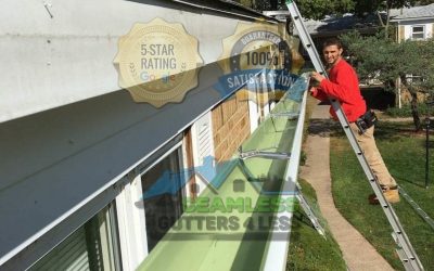 Fox Island’s Rainy Day Gutter Maintenance Guide