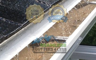 What Your Gutters Are Trying to Tell You: Decoding the Sounds of a Puget Sound Home