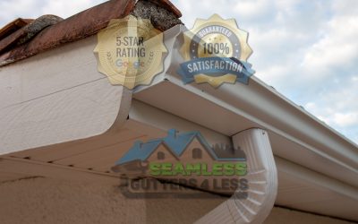 How to Inspect Your Gutters in Edmonds