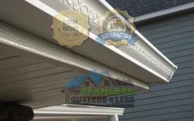 How to Handle Gutter Issues in East Olympia